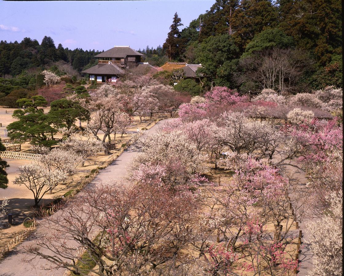 Terrace Inn Katsuta Hitachinaka Luaran gambar